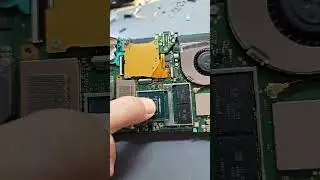 Nintendo switch lite Blue death .. Can I fix It 