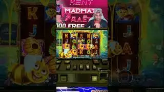 БОНУСКА В ПРАГМАТЕ ЗАНЕСЛА? #shorts #short #madmaxshorts #madmaxstream #тренды #рекомендации