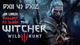 Linux Gaming: Witcher 3 | DirectX 11 vs DirectX 12