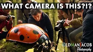 Gear you NEED for Macro Photography! The Complete Guide to Macro Photography Part 2
