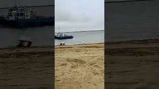 Волонтеры на Енисее в Дудинке