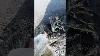 СПАСЕНИЕ ПТИЧКИ. Хорошими делами прославиться нельзя.