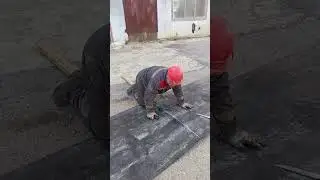 20 июля 2024 г.
