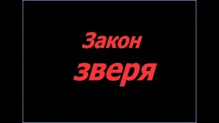 Закон зверя