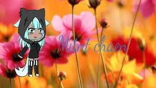 Intro dla mint chaen pozdrawiam 😎