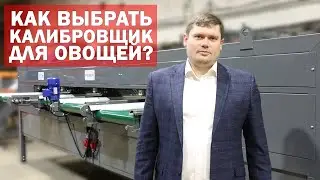 Как выбрать калибровочную машину для овощей?