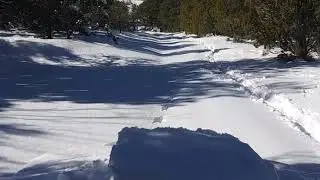 Plowing my road