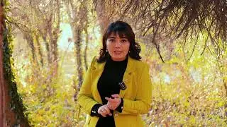 Порнографик видеолар кўрганлик...