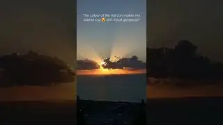 JUST ONE BEAUTIFUL VIEW