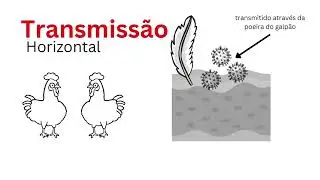 Vídeo educativo direcionado a pequenos produtores: principais doenças que acometem aves de produção
