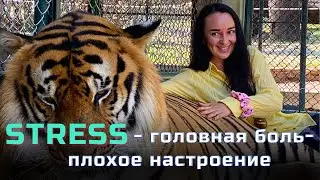 ☠️Как стресс убивает наше здоровье и настроение. Ответы на вопросы🔎