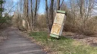 Чернобыль (Chernobyl). Припять. Аллея за домом культуры Энергетик