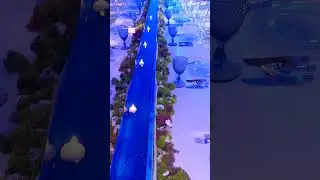PXL 20220727 190319522