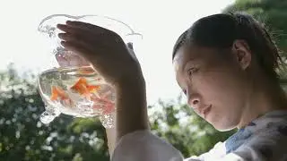 ЯПОНСКИЕ МОТИВЫ