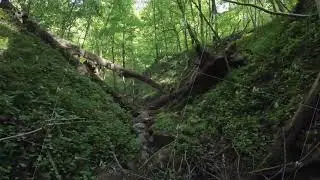 Drone flight through ravine