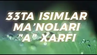 33 TA 