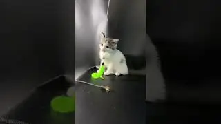 Ищем родителей этому малышу Костику! СПб