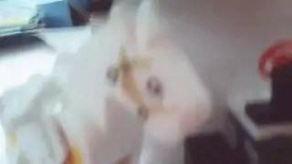 Происшествие в кафе