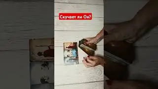 #tarotube #онлайнрасклад #tarot #таро #гадание #tarotmisha #тароонлайн #таролог #тарогадание