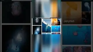 Using Pexels To Download Stock Photos And Videos | WeGotMedia | Digital Media Tips & Tutorials