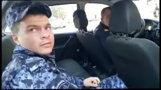 И нет им покоя - ни ночью, ни днем!!!