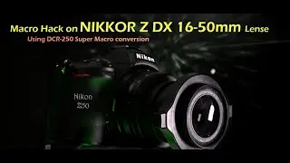 Making NIKKOR Z DX 16-50mm as Macro Lenses using DCR-250 Super Macro conversion lens on Nikon Z50