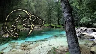 Relaxation, Nature sounds for sleep, THE NOISE OF A MOUNTAIN RIVER, THE murmur of water, MUSIC SOUND