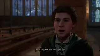 Talking To Sebastian after completed the main story │ Hogwarts Legacy