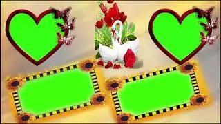 Green Screen Home New Wedding Videos Free Download For Use Green Screen Home Wedding Video 2019 29