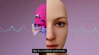 Kulak Çınlaması (Tinnitus) Neye Benziyor?