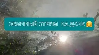 Отдыхаем на даче)