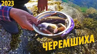 #14 Треска на острове Черемшиха | Поиск места для стоянки | Поход 2023