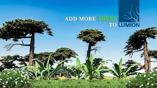 How to add new trees to Lumion | Lumion Easy