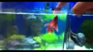 IMG 4730