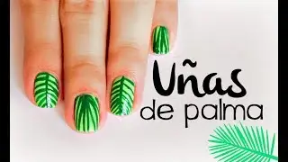 Uñas de palma - Mybluepas