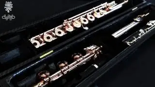 The Haynes-Wiseman Carbon Fiber Case