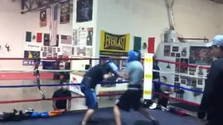El Bebe boxeo