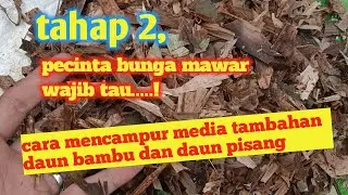 CARA MENCAMPUR MEDIA DAUN BAMBU  UNTUK BUNGAMAWAR YANG BENAR