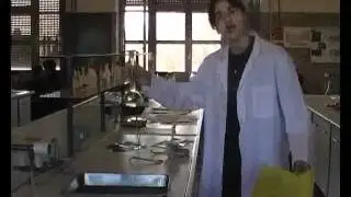 Cianotipia