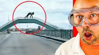The most INSANE moments CAUGHT on dashcam