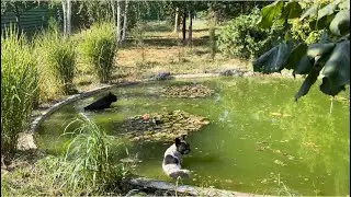 Засуха…