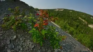 Coffee Photos - Riding Mountain -2