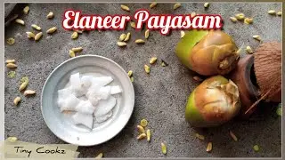 Miniature Tender Coconut Kheer | Miniature Elaneer Payasam | Tiny cooking | Tiny Cookz #19