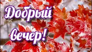 ДОБРЫЙ ВЕЧЕР Как хорошо,когда все дома Красивое пожелание доброго вечера Видео открытка добрый вечер
