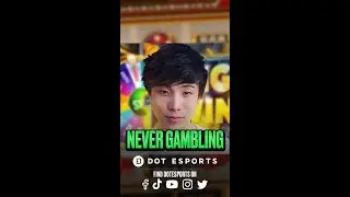 Sykkuno says he wouldn't participate in the gambling meta #shorts