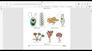 NCERT CLASS 8 BIOLOGY MICROORGANISM PART 1