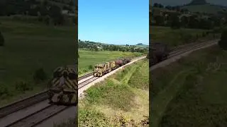 Gecos con torpedos en El Valle. 20/4/2024