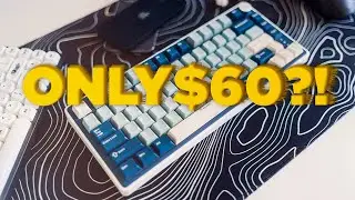 Is This the PERFECT Keyboard?? | R75 PRO (Incredible Sound & Completely Stock)