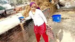 bandar ki aakhri Yatra#Varsha Bulbul family vlogs #News Video #monkeys Video #monkeys all videos and