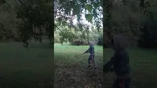 В рощице березовой в городе
